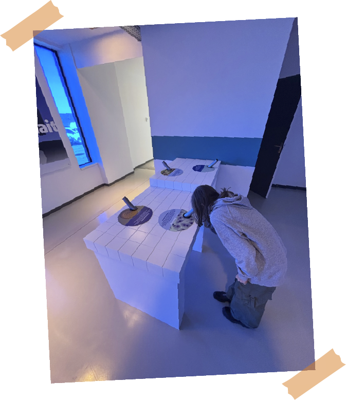 Laboratoire, observation